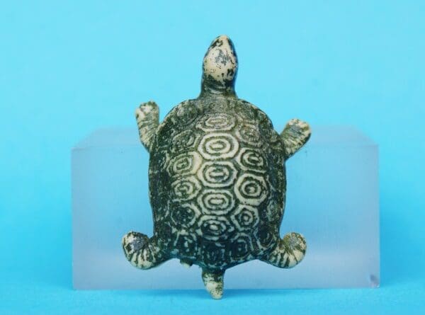 SOLD Unusual Turtle - Marked "Hong Kong"