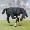 SALE! Herald Black Scratching Colt