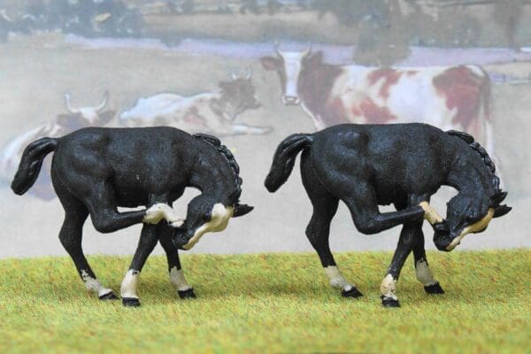 SALE! Herald Black Scratching Colt - Image 4