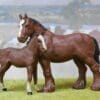 SOLD Herald Brown Shire Mare & Standing Colt