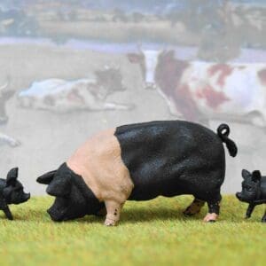 SOLD Herald Saddleback Boar & Piglets - Early Paint!