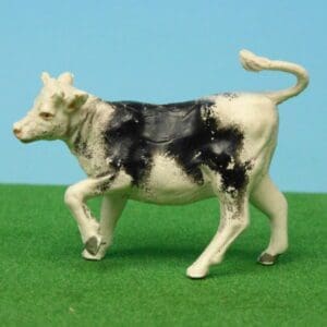 SOLD Herald BLACK Heifer Calf, walking