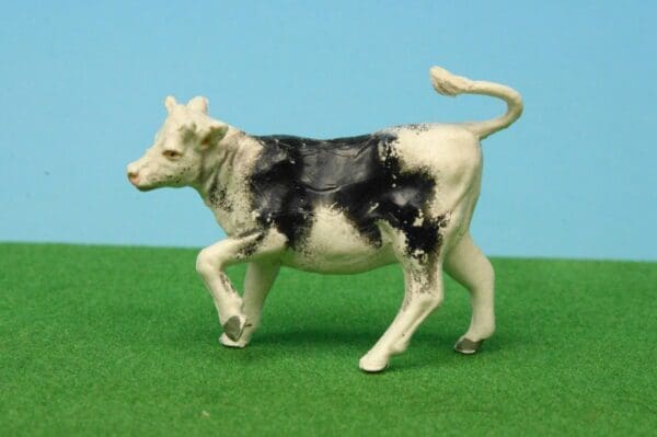SOLD Herald BLACK Heifer Calf, walking