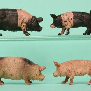 NEW! Crescent Farm Models - Scarce Saddleback Pigs
