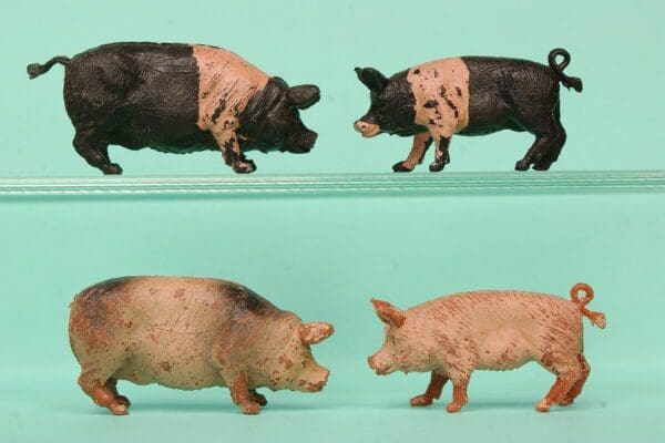 NEW! Crescent Farm Models - Scarce Saddleback Pigs