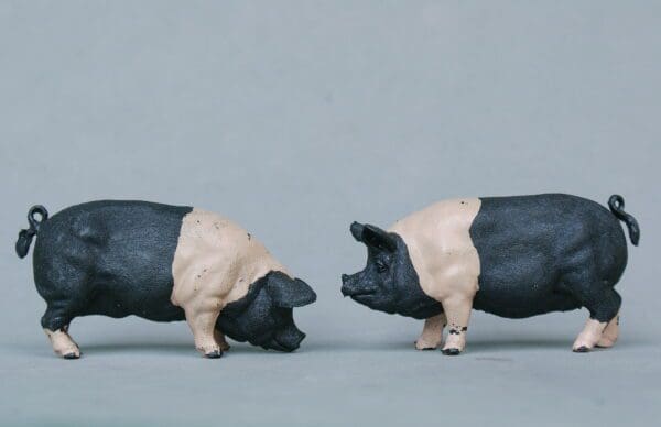 LAST PAIR! Herald Farm Saddleback Pigs (Matching Pair)