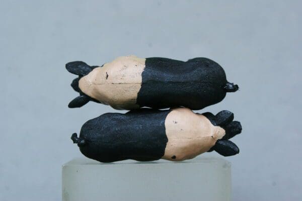 LAST PAIR! Herald Farm Saddleback Pigs (Matching Pair) - Image 4