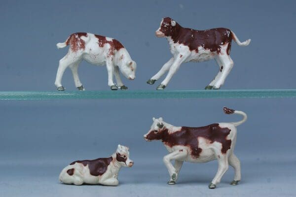NEW! Loose Set of Herald Ayrshire Calves - Superb!