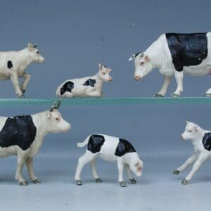 SOLD Herald Friesian Cows & Calves - Full Set!