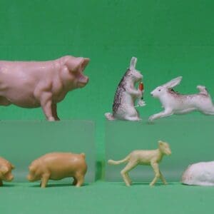 B&S Farm Pig, Piglets, Dog, Rabbits & Lamb