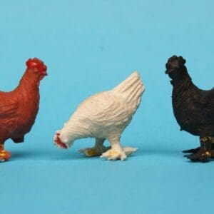 SOLD B&S Bantam Hens - Scarce!