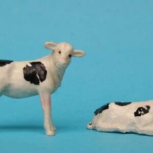 SOLD B&S Farm Calves - Standing & Lying Poses