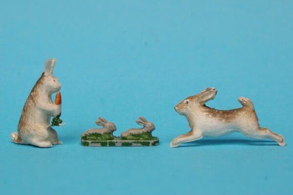 B&S Farm Rabbits & Baby Rabbits