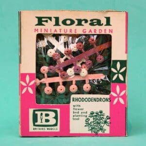 SOLD OUT Britains Floral Garden Rhododendrons - Carton Type B