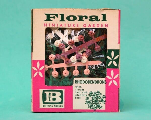 SOLD OUT Britains Floral Garden Rhododendrons - Carton Type B