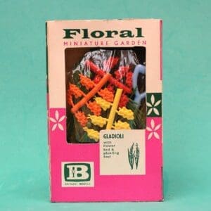 SOLD OUT Britains Floral Garden Gladioli - Carton Type B
