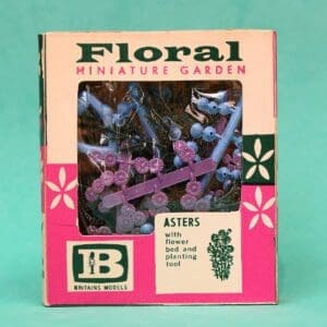 SOLD OUT Britains Floral Garden Asters - Carton Type B