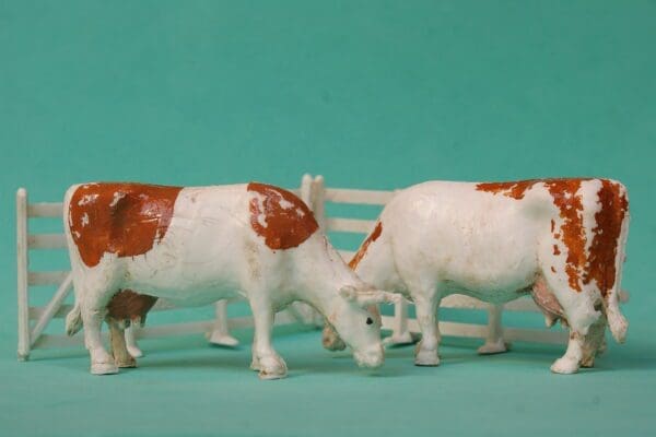 SOLD Taylor & Sons Cow Grazing (CARAMEL) & Fences