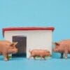 NEW! Taylor & Sons Pig Sty with Pigs and Hard to Find Piglet