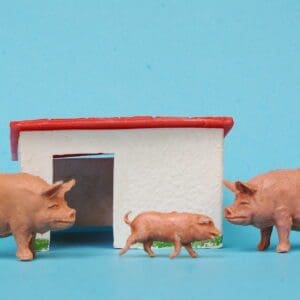 NEW! Taylor & Sons Pig Sty with Pigs and Hard to Find Piglet
