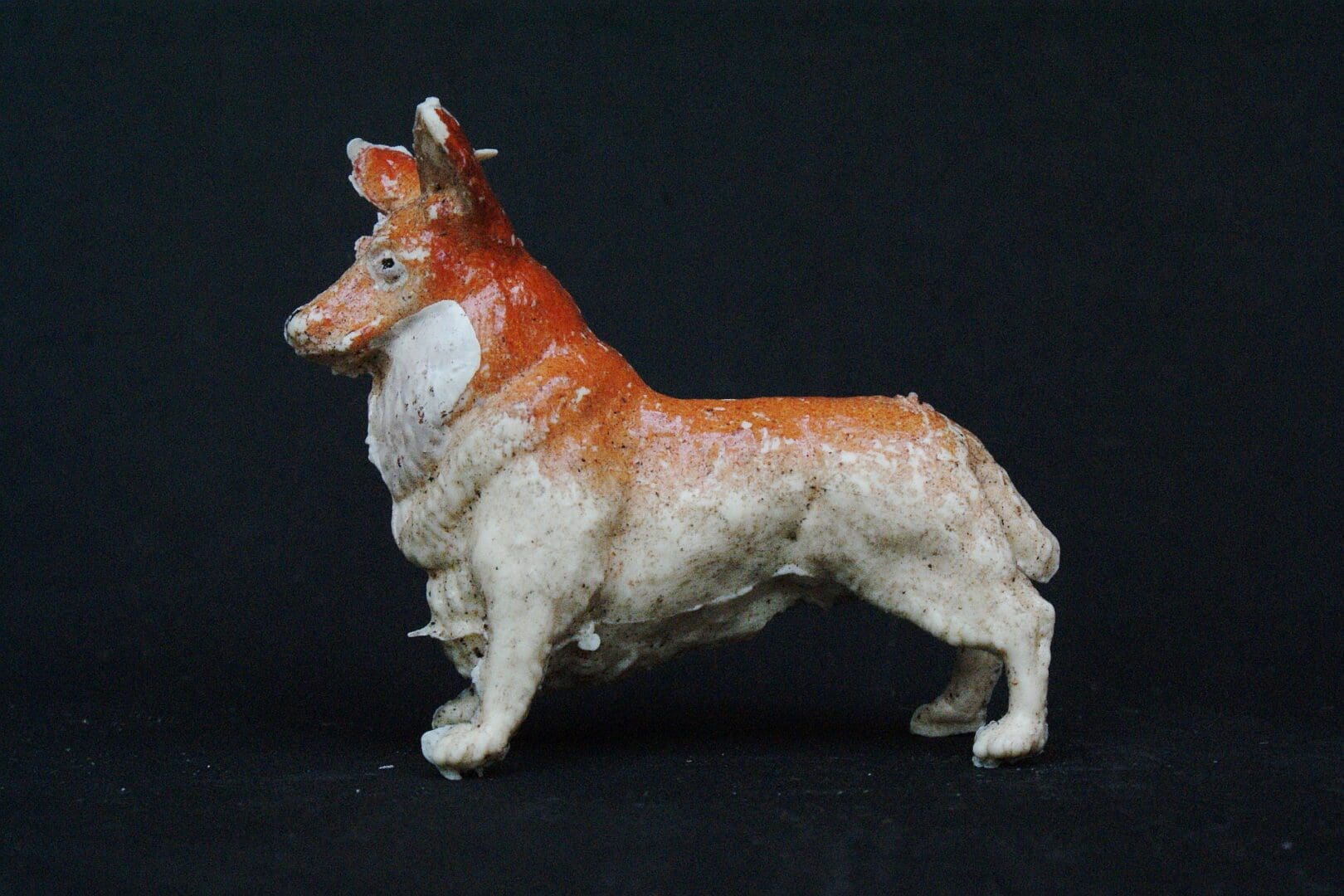 Corgi kennel best sale club