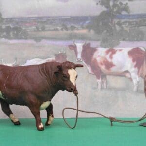 SOLD Herald Brown Bull (tied to Post)