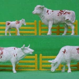 SOLD Taylor & Sons Farm Cattle - BROWN Markings