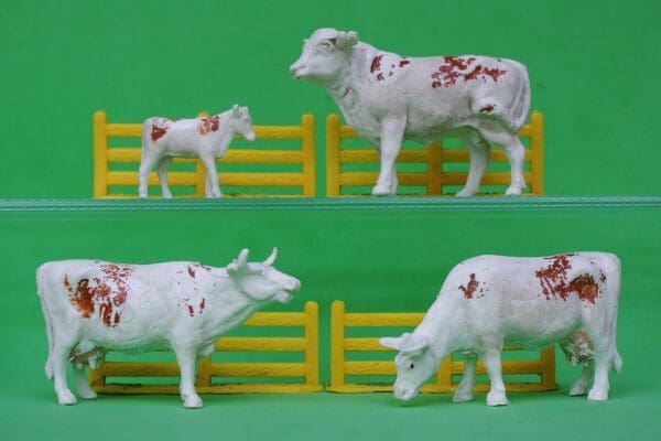 SOLD Taylor & Sons Farm Cattle - BROWN Markings