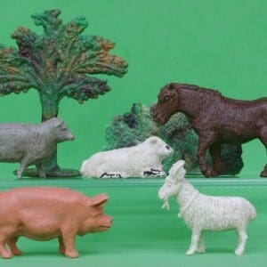 Taylor & Sons Farm Sheep, Goat, Pig and Shetland Pony