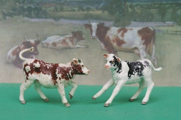 SOLD Herald Stencil-sprayed Calves - includes BLACK Bull Calf