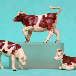 SOLD Herald Ayrshire Calves - Early Dark Brown Markings!
