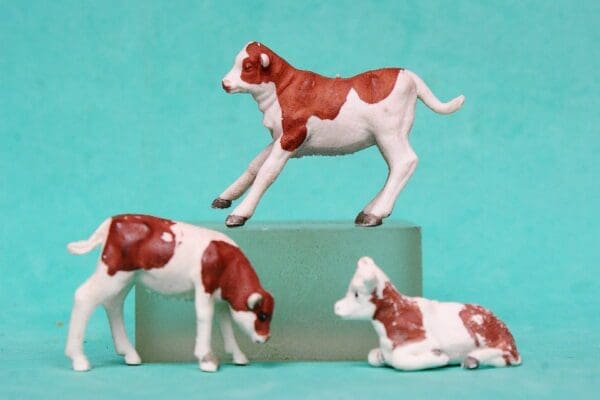 Herald Farm Series Calves - Later CARAMEL Markings