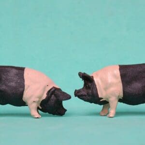 Herald Farm Series Saddleback Pigs - Early Paint