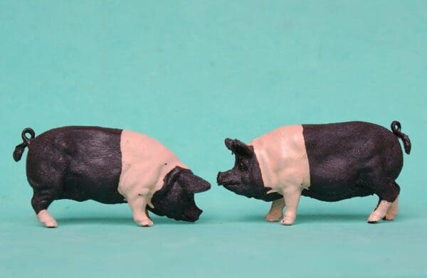 Herald Farm Series Saddleback Pigs - Early Paint