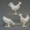 Barrett & Sons Chicken Set - Hard to Find!