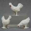 Barrett & Sons Chicken Set - Hard to Find! - Image 2