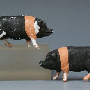 SOLD Charbens Saddleback Pigs - WHITE Plastic (Another First!)
