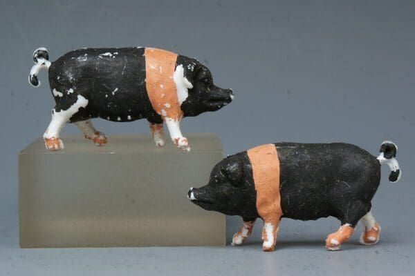 SOLD Charbens Saddleback Pigs - WHITE Plastic (Another First!)