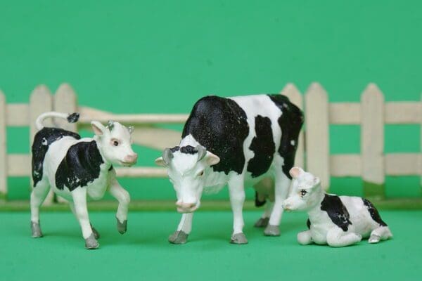 Herald Cow Feeding & 2 Calves (Friesians)