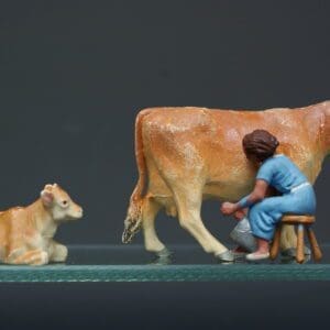 SOLD Herald Jersey Cow, Calf & Girl Milking - Great Condition!