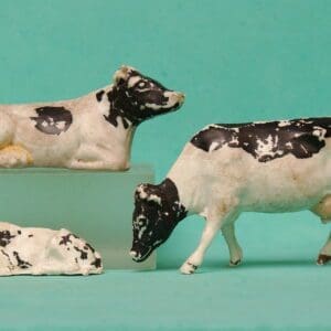 SOLD Trojan Farm Cows & Calf - FRIESIAN Breed