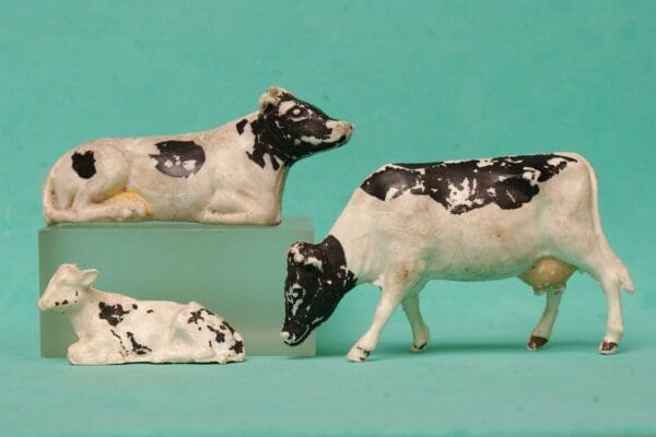SOLD Trojan Farm Cows & Calf - FRIESIAN Breed