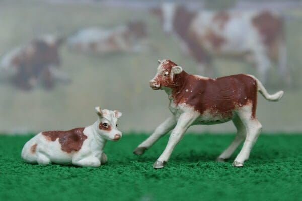 SOLD Herald Spray-Painted Ayrshire Calves - TEXTURED Plastic #1