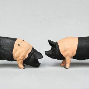 SOLD Herald Farm Saddleback Pigs (Matching Pair)