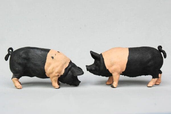 SOLD Herald Farm Saddleback Pigs (Matching Pair)