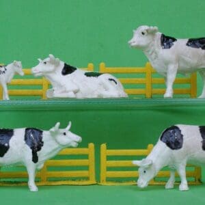 SOLD Taylor & Sons Farm Cattle - Friesian Breed