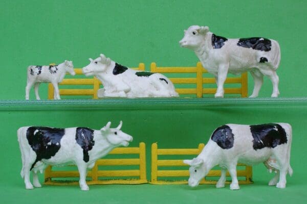 SOLD Taylor & Sons Farm Cattle - Friesian Breed