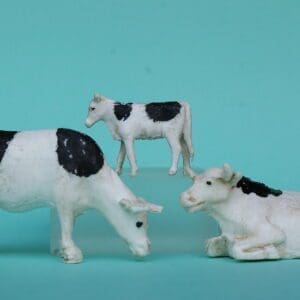 SOLD Taylor & Sons Cows (Lying and Grazing) & Calf