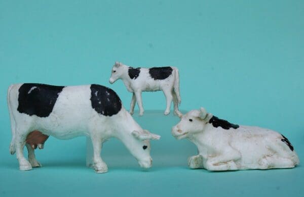 SOLD Taylor & Sons Cows (Lying and Grazing) & Calf