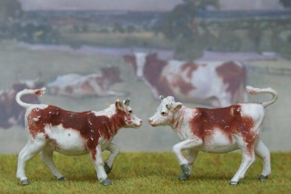 SOLD Herald Spray-painted Ayrshire Heifer Calves - Near Mint!
